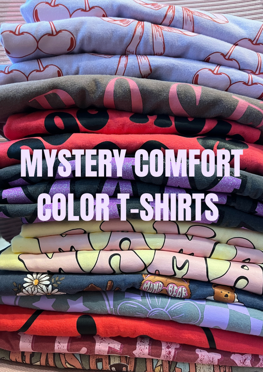 2 Mystery Comfort Colors T-Shirt Grab Bag | Pick Your Theme